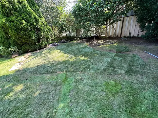 Lawn sodding installation in Mississauga by Lawn By Moe