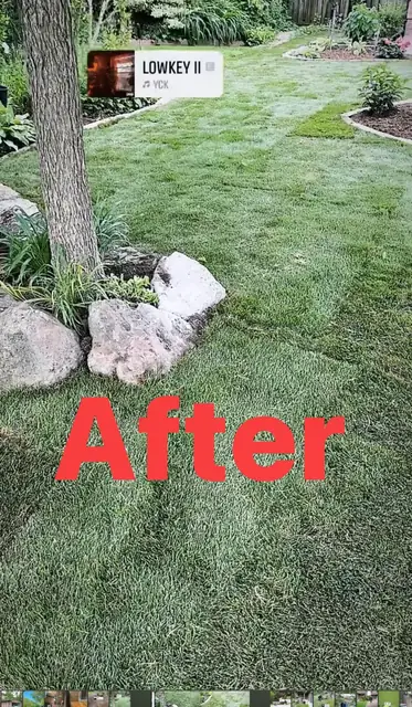 Professional sodding project completed in Etobicoke