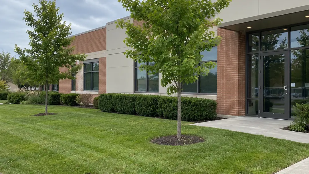 Mowed lawn and young trees in front of an office building, commercial lawn care in Milton
