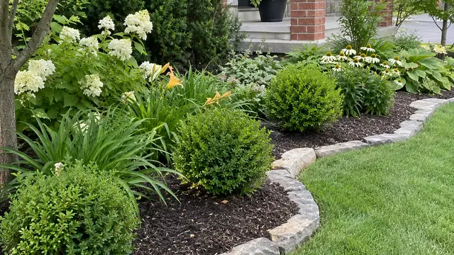 Curved garden bed with fresh dark mulch and shrubs, mulching a garden in Ontario
