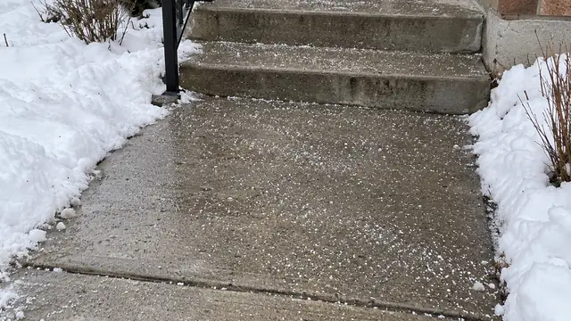Salt spread on a cleared concrete walkway and front steps between snowbanks, where rock salt damage to lawn edges and concrete starts