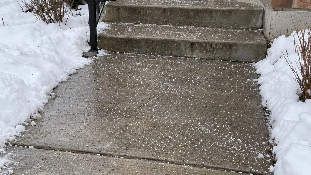 Salt spread on a cleared concrete walkway and front steps between snowbanks, where rock salt damage to lawn edges and concrete starts