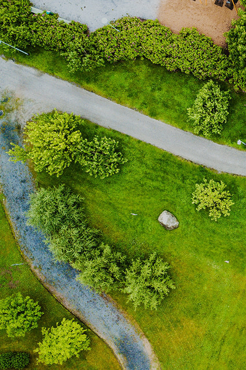 Best Time to Sod Your Lawn in Ontario: A Complete Guide