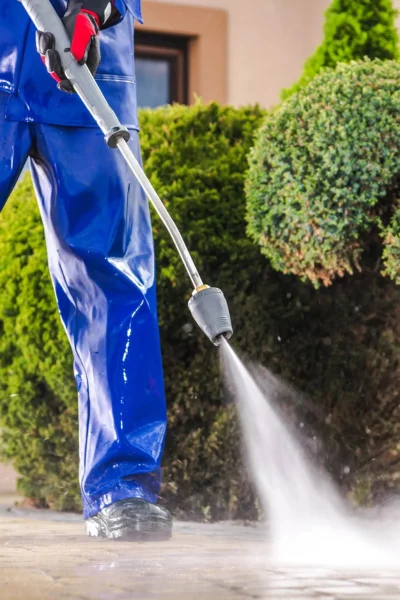 lwanbymoe services lwanbymoe services